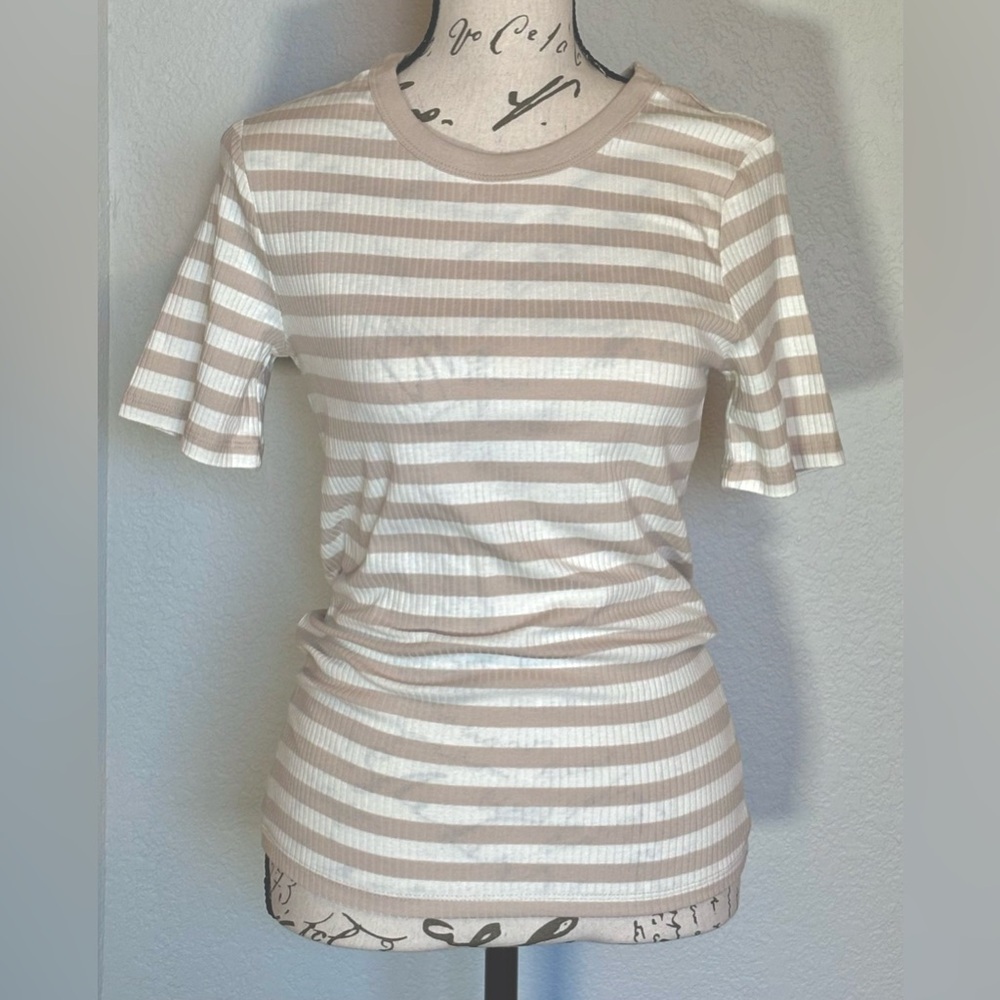 Woman's Small Cream & Taupe Striped Scoop Neck Ribbed Stretch Knit Shirt  NWOT